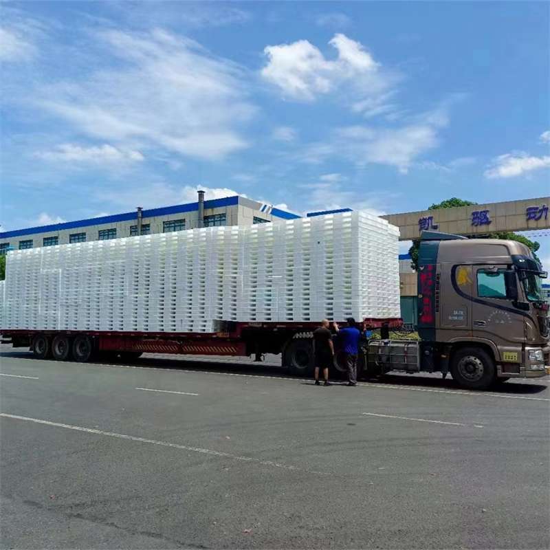 汉南区黄埔区物流：多元服务与高效运输线路探秘