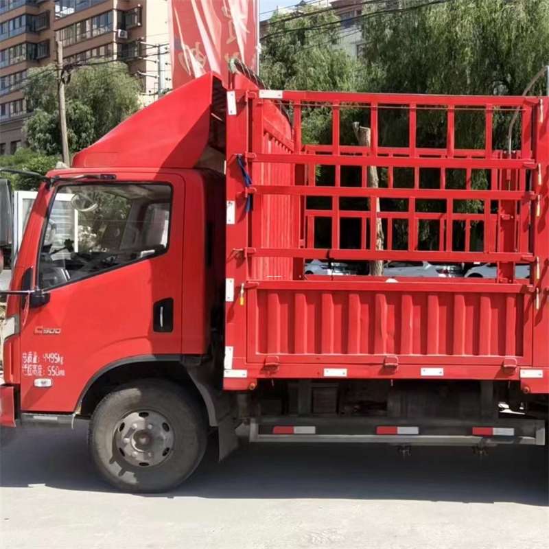 汉南区探秘西乡县进仓物流：专线直达的多元货运之旅